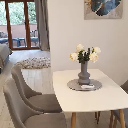 Romantic Rohreggerova