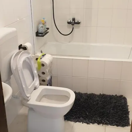 Apartment Romantic Rohreggerova *