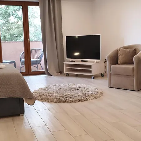 公寓 Romantic Rohreggerova 普拉